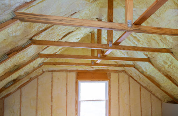Best Eco-Friendly Insulation in Homerville, GA