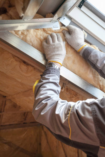 Best Residential Insulation in Homerville, GA
