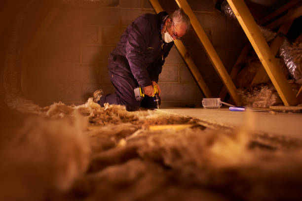 Best Spray Foam Insulation in Homerville, GA